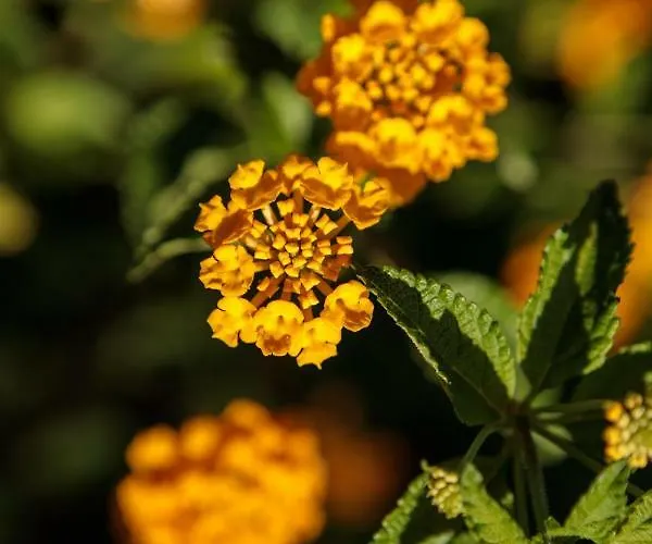 Villa Kairos Naxos Glinado Naxos